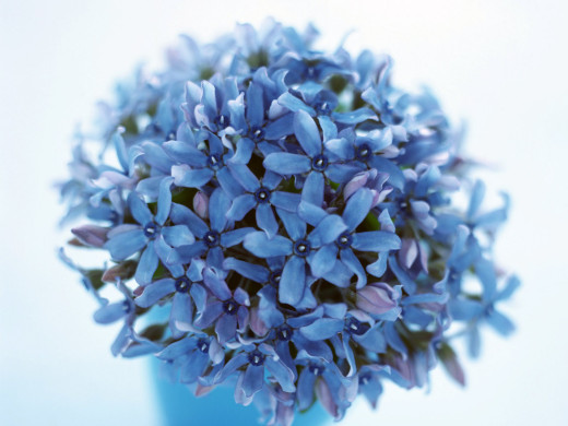 426965 (a): :1600x1200